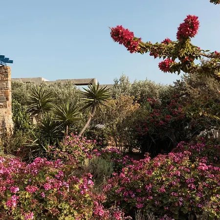 Aurea Blu 15 Pure Nature, Relaxation, Sea And Sun Lägenhet Aliko Beach