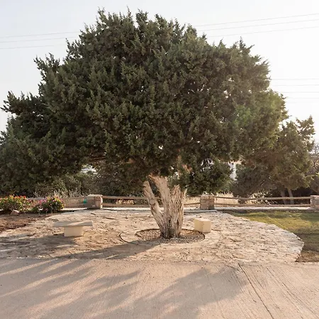 Lejlighed Aurea Blu 15 Pure Nature, Relaxation, Sea And Sun *